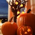Activités sur l'histoire, les légendes et les traditions d'Halloween pour tout connaître sur les origines de la fête, son histoire et ses traditions.