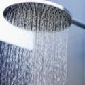 La pomme de douche
