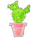 Jardinage junior