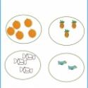 Exercices de comparaison de grandeur, quantité et longueur pour la petite section de maternelle