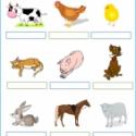 Exercice vocabulaire CP - Les animaux