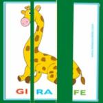 Cartes de lecture