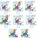 Histoire de l'Europe pour les juniors