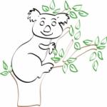 Coloriage de koala