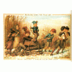 La buche de Noël