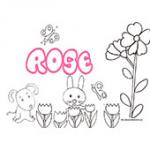 Rose, coloriages Rose