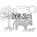 Selim, coloriages Selim