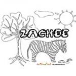 Zachee, coloriages Zachee