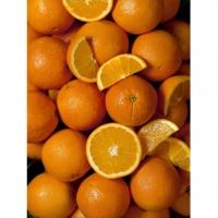 Vitamines et grossesse