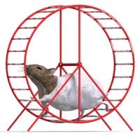 le hamster