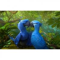 RIO 2 : Les beaux-parents ... et une vieille connaissance