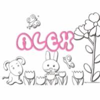 Activités sur le prénom Alex
