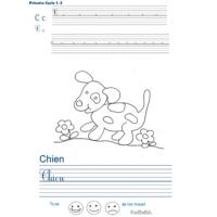 Pages d'écriture primaire
