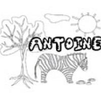 Antoine, coloriages Antoine