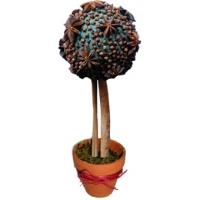 Cadeau arbre à épices