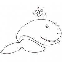 Coloriage mer et animaux de la mer pour junior