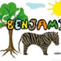 Activités sur le prénom Benjamin
