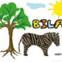 Activités sur le prénom Bilal