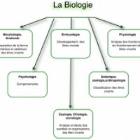 La Biologie Definition De La Biologie L Ecologie Discipline De La Biologie