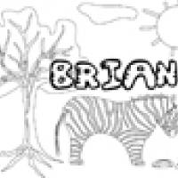 Activités sur le prénom Brian