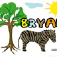 Activités sur le prénom Bryan