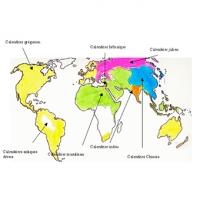 Calendrier du monde
