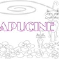 Activités sur le prénom Capucine