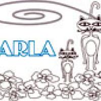 Activités sur le prénom Carla