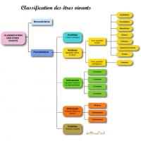 Classification traditionnelle des êtres vivants