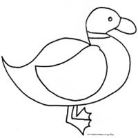 Coloriage des canards