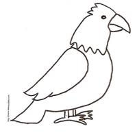 Coloriage Pygargue à Tête Blanche Qui Va Attraper Sa Proie