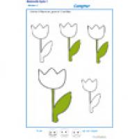 Compter et colorier les fleurs