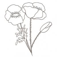 Coloriages de fleurs à imprimer