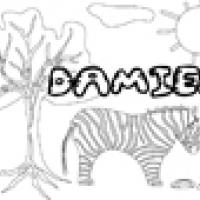 Activités sur le prénom Damien