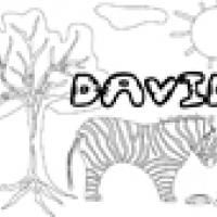 Activités sur le prénom David