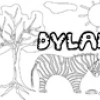 Activités sur le prénom Dylan
