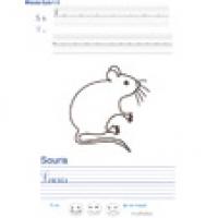 Activités avec la lettre S