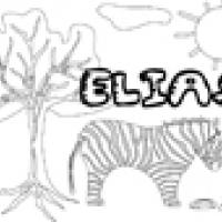 Activités sur le prénom Elias