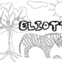 Activités sur le prénom Eliott