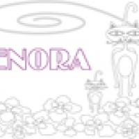 Enora - Prénom Enora