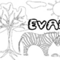 Activités sur le prénom Evan