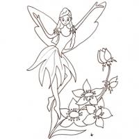 Petite fée sur les fleurs