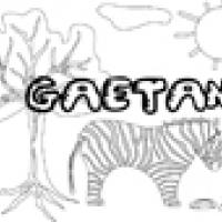 Activités sur le prénom Gaetan