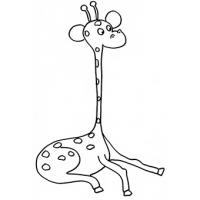 Coloriage girafe