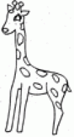 Girafe