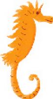 hippocampe