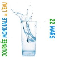 journée mondiale de l'eau