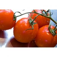 La tomate est-elle un fruit ou un légume ?