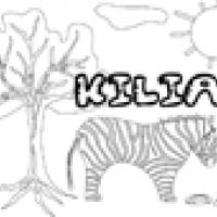 Activités sur le prénom Kilian