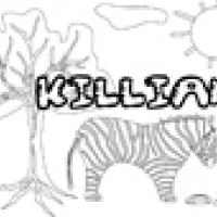 Activités sur le prénom Killian